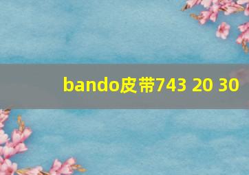 bando皮带743 20 30